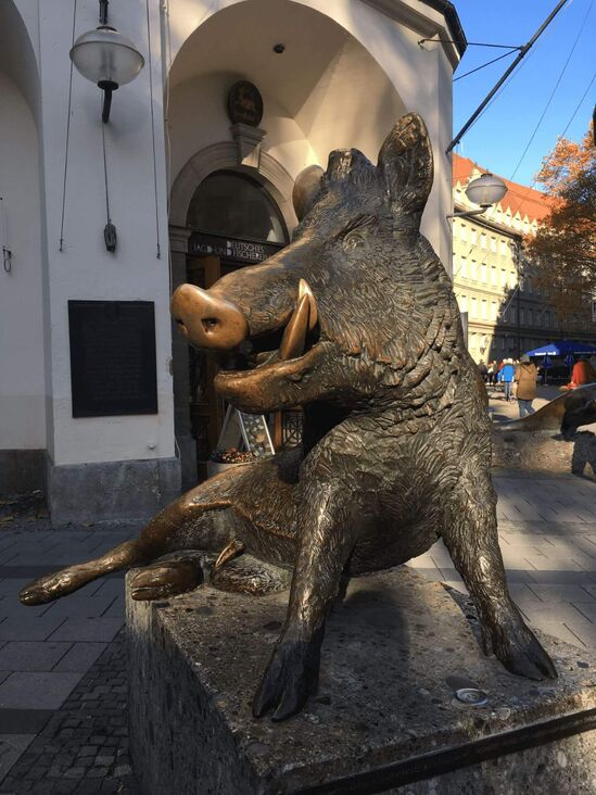 Ein Keiler vor dem Jagd und Fischereimuseum in München