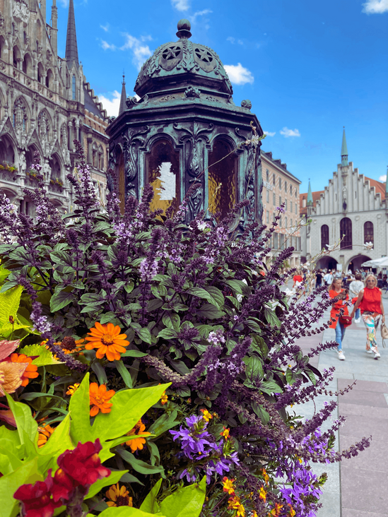 Marienplatz on an Walking Tour in Munich
