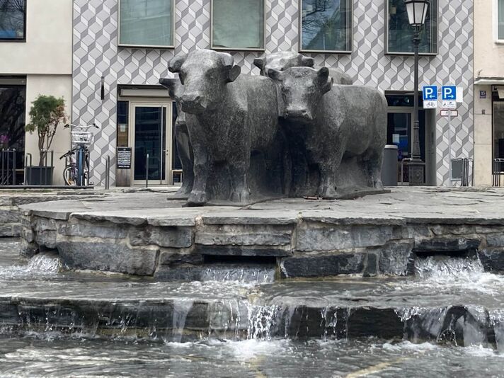 Funde aus einer ehemaligen Latrine gab es am Rindermarkt