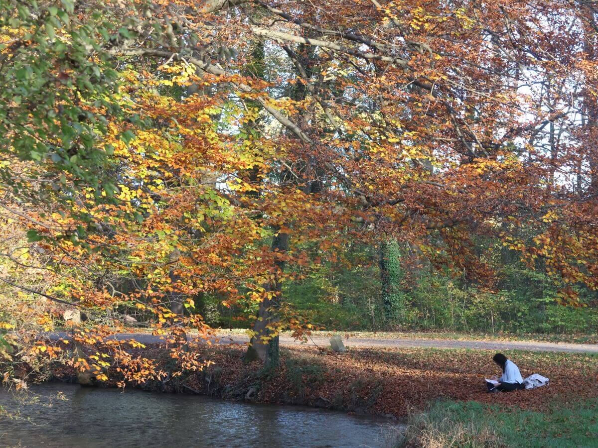 Herbst im Englischen Garten