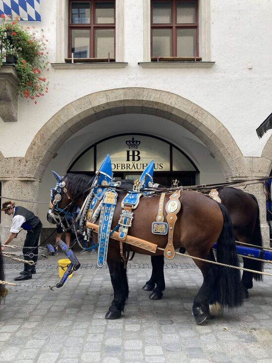 Visit to the Hofbräuhaus on a Walking Tour in Munich
